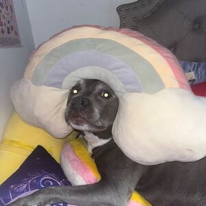 Rainbow Cloud Pillow